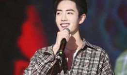 刘大锤爆料何炅视频播放,何炅视频幕后真相，播放量惊人！