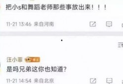 山东大瓜爆料视频播放,揭秘幕后真相，引发网友热议