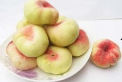 新疆蟠桃爆料新闻最新,甜蜜上市引关注！